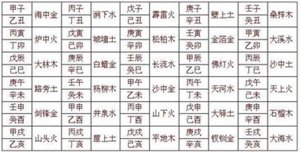 2024澳门精准正版生肖图,叙述解答解释落实_黄金款55.985