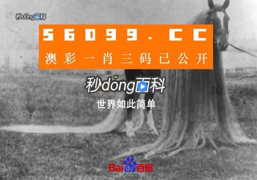 澳门一肖一码一必中一肖同舟前进,优选方案解析说明_pro24.459