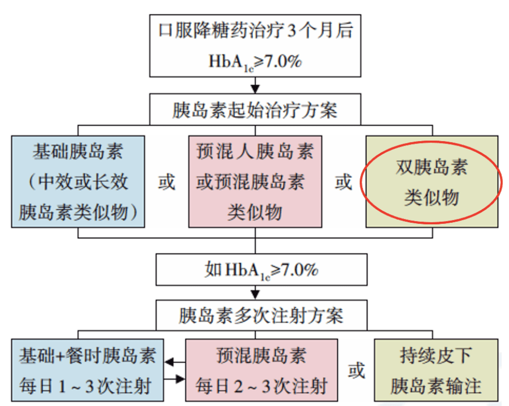 新澳门最新开奖结果记录历史查询,具体操作步骤指导_D版73.646