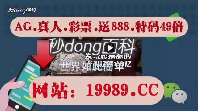 2024年新澳门开奖结果查询,详细解读解释定义_The23.966