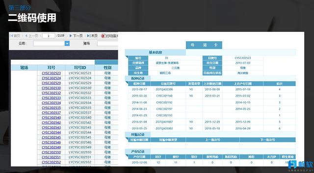 2024澳门今晚开特马开什么,精细执行计划_3DM61.80