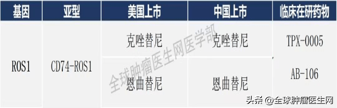 靶向药2023价格一览表,实地计划验证策略_Z78.763