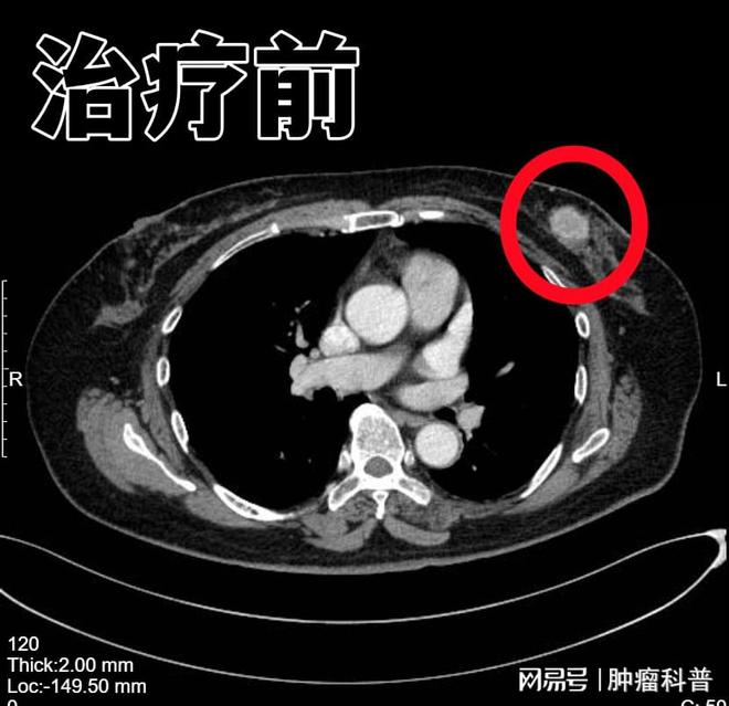 澳门彩三期必内必中一期,功能性操作方案制定_CT20.755