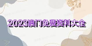 2023年正版资料免费大全,详细说明解答步骤_优雅版11.325