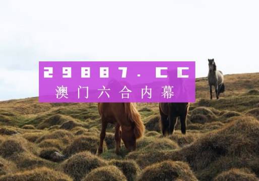 澳门4949开奖现场直播+开,确保问题说明_设计型18.843